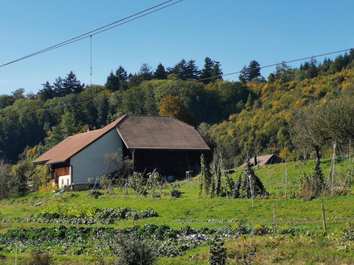 Bed and Breakfast Jurastei 16 Wiedlisbach Exterior foto